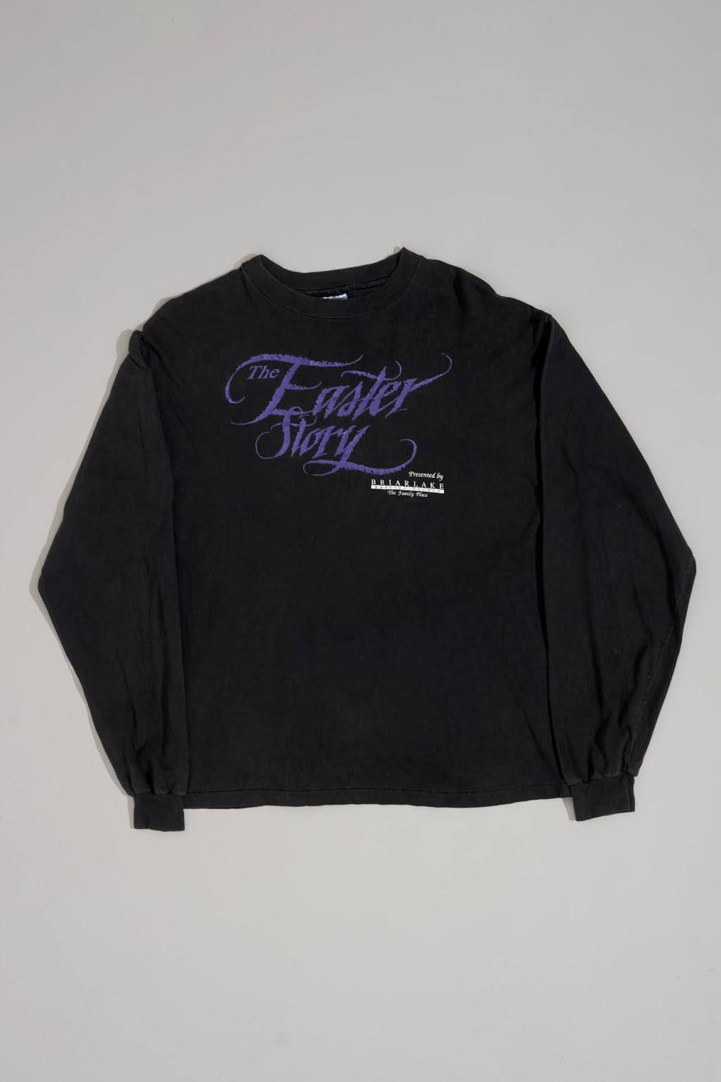 THE FASTER STORY Longsleeve - L